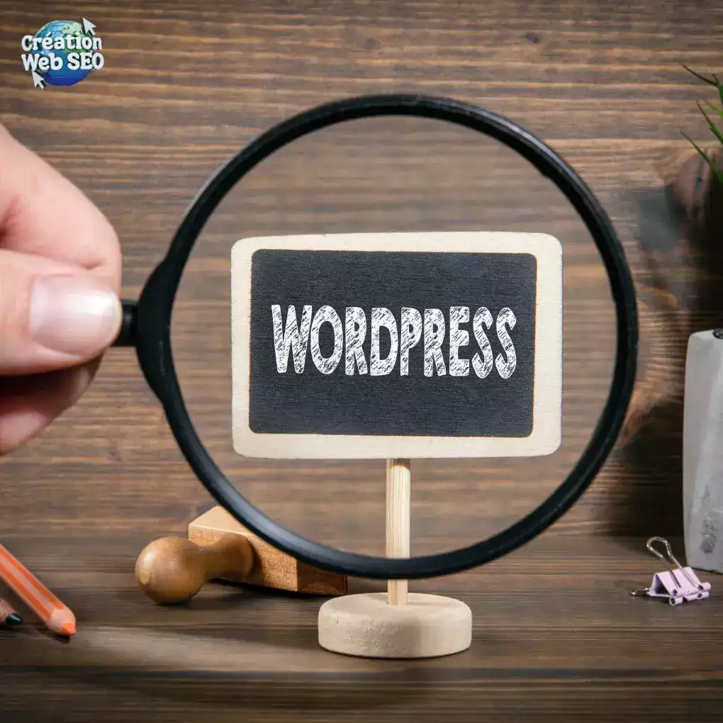 expertise webmaster wordpress